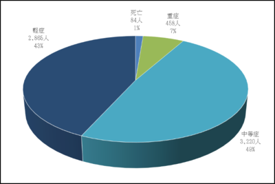 令和5年鎌ケ谷市傷病程度別内訳グラフ