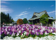 成田山の写真