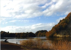 紅葉する山と水辺の写真