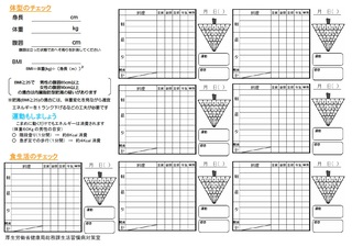 食事バランスガイドチェックシート裏面