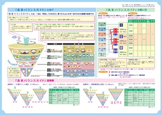 食事バランスガイド基本編リーフレット裏面の画像