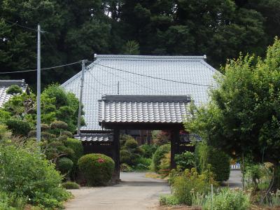 澁谷家住宅写真