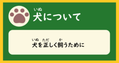 「犬について（犬を正しく飼うために）」と書かれた画像