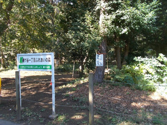 （仮称）鎌ケ谷一丁目ふれあいの森公園の写真